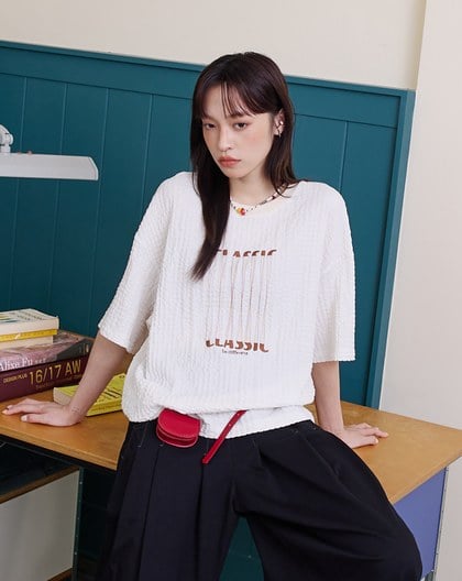 CLASSIC漂浮感繡花皺皺織紋上衣(兩色)