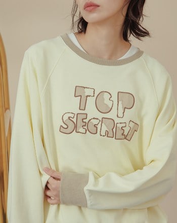 英文標語刺繡配色拼接大學T(兩色)